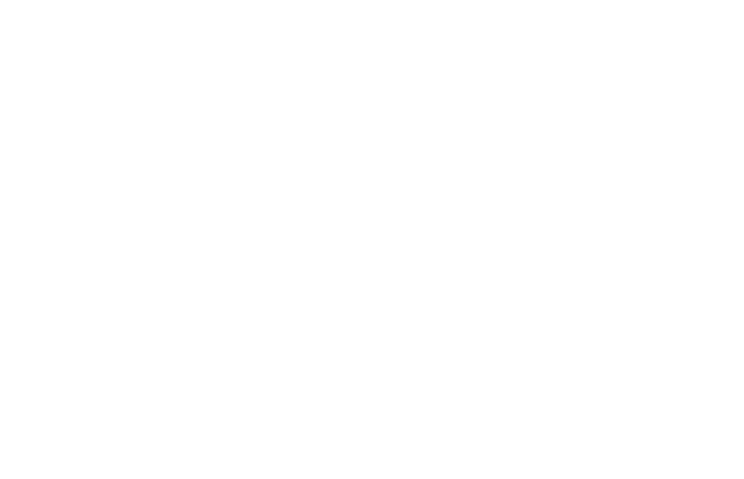 Caseritos